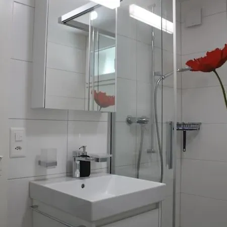 Apartamento For Max 3 Guests Ideal For Water Sports & Swiss Alps