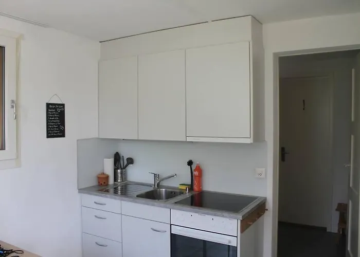 Neb-thun Am Thunersee * תון